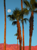 Sunrise Moon