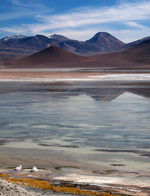 3rd - Stuart Lynn: Top of the Andes