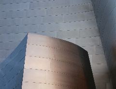 John Brantley: Disney Concert Hall #3