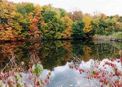 Roger Kipp: Hudson Valley Fall reflections