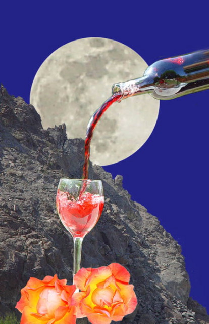 Advanced Print Open 3rd - Jerry Dupree: Wine and Roses