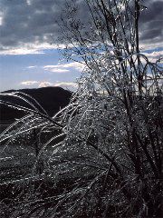 Ingrid Knight: Cold Winter Morning