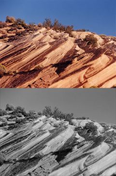 Ingrid Knight: Arizona Reservation