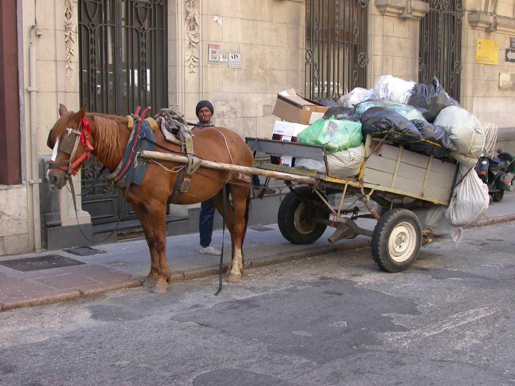 Bill Coleman: Montevideo Scavenger