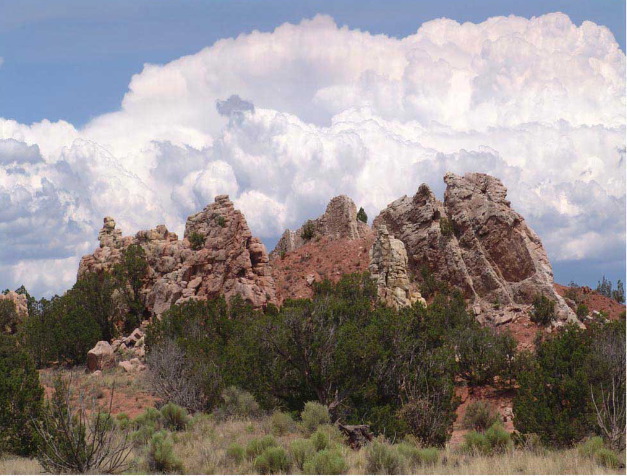 Stan Spiegel: View From Hwy 14