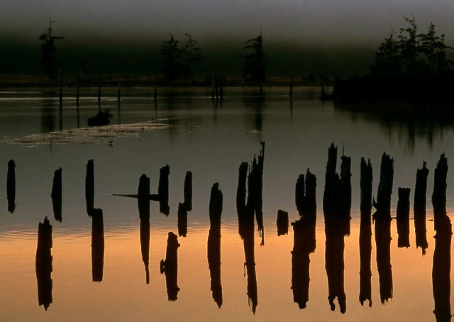 John Brantley: There Once Was A Pier