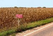 Lionel Leiter: Rural Nebraska