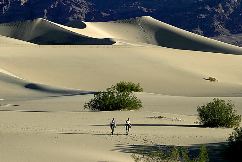 Gene Lambert: Death Valley Dune With People