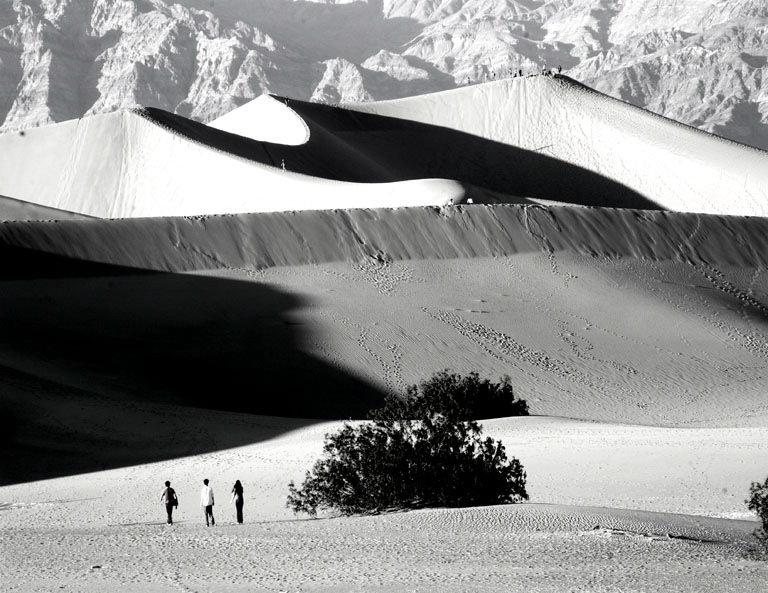 Gene Lambert: Dunes