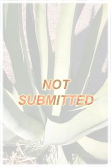 Gitta Gorman: Mojave Yucca