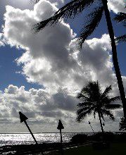 Stan Spiegel: Under Hawaiian Skies
