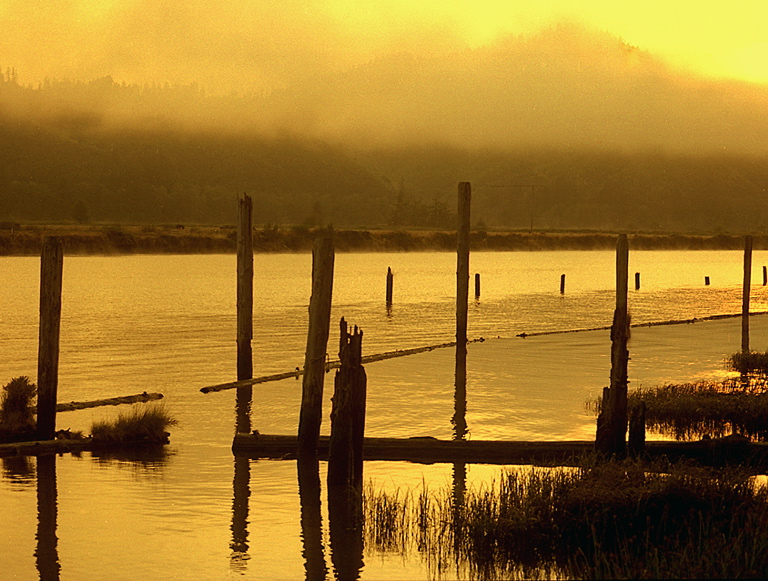John Brantley: There Once Was a Bridge