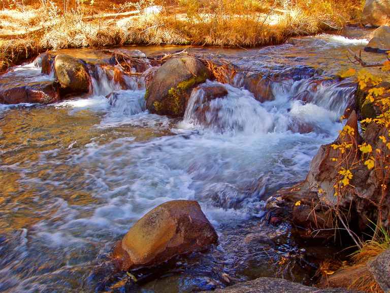 Margot Schweifler: Rock Creek - Bishop