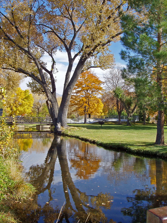 Margot Schweifler: Fall Colors-Bishop