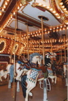 Roger Kipp: Carousel Delight