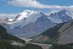 Wayne Schweifler: Icefields Parkway