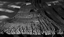 64-71003-06