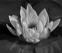66-72010-01