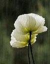 7-12004-02