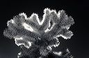 94-71016-02