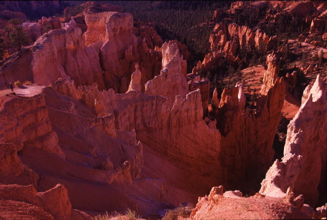 Advanced Print Nature 2nd - Roger Kipp: Bryce Canyon Morning