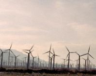 Gitta Gorman: Windmills At Dusk