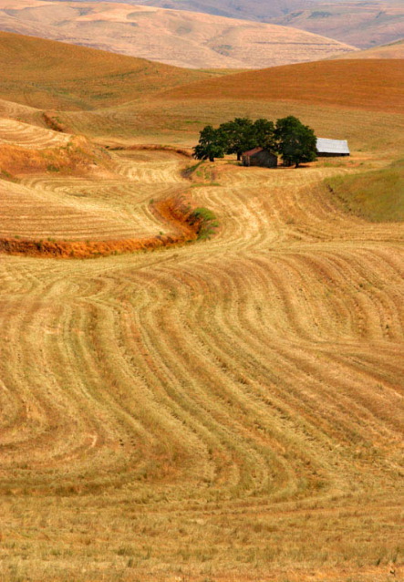 Lillian Roberts: Oregon Farm Scene