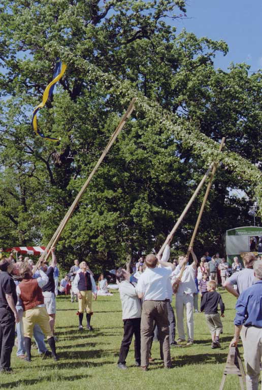 Gitta Gorman: Raising The Maypole