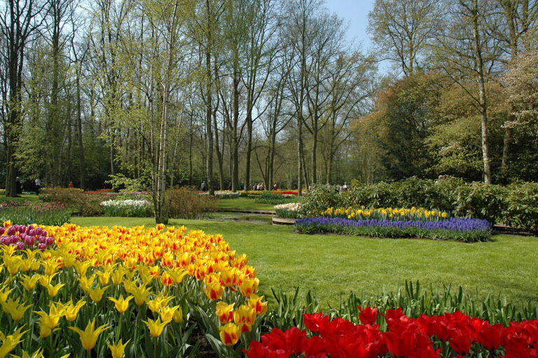 Bill Coleman: Keukenhof Gardens