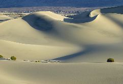 Gene Lambert: Death Valley Dune #1