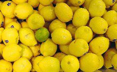 Stan Spiegel: Lemons