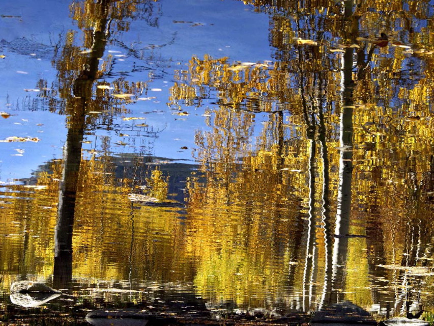 Richard Rogers: Reflected Aspen