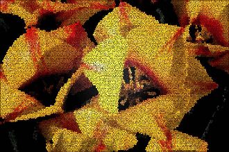 Bill Coleman: Mosaic Tulip