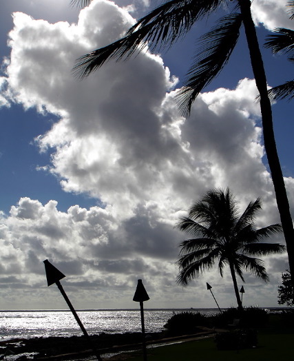 Stan Spiegel: Under Hawaiian Skies