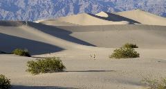 Gene Lambert: Death Valley Dunes
