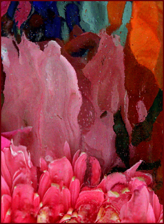 Stuart Lynn: Flowers Under Glass