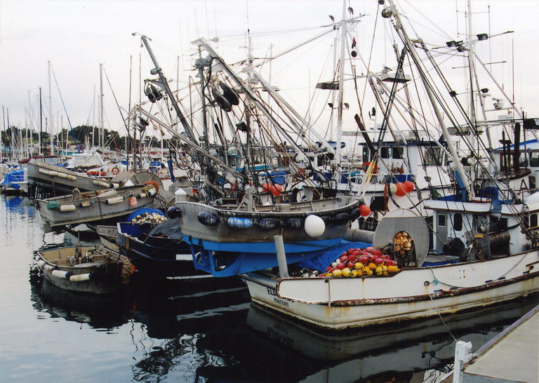 Roger Kipp: Monterey Fishing Fleet