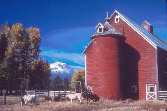 Gene Lamber: The Pierce Barn