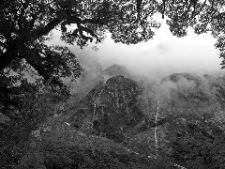 Jerry Chatow: New Zealand Rain