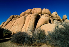 Gene Lambert: Joshua's Big Rocks
