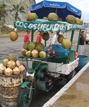 Stan Spiegel: Mazatlan Coconut Stand
